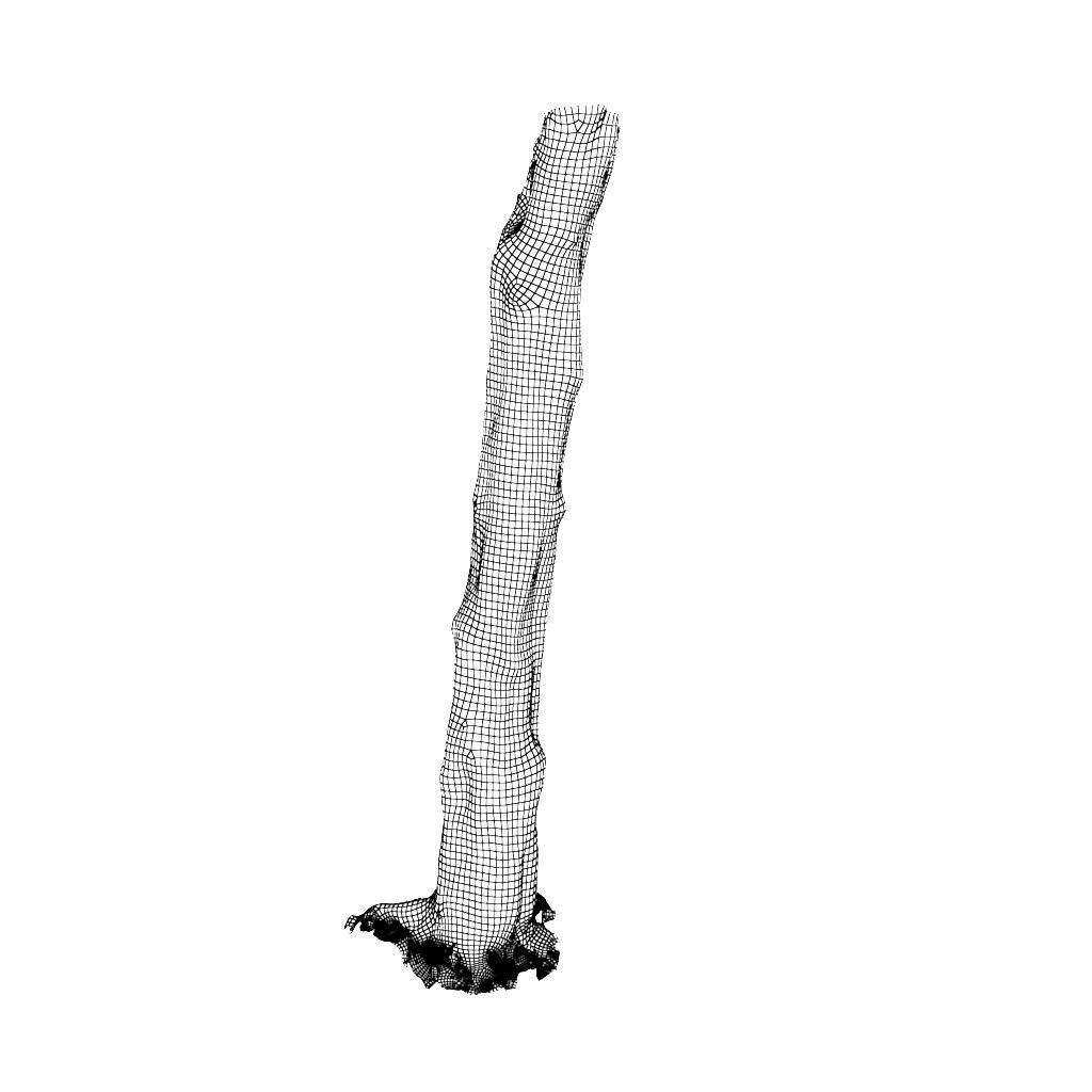 Low poly - High poly Trunk 03 - Photogrammetry Low-poly 3D model_16