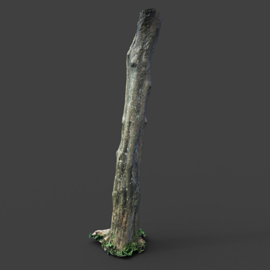 Low poly - High poly Trunk 03 - Photogrammetry Low-poly 3D model_5