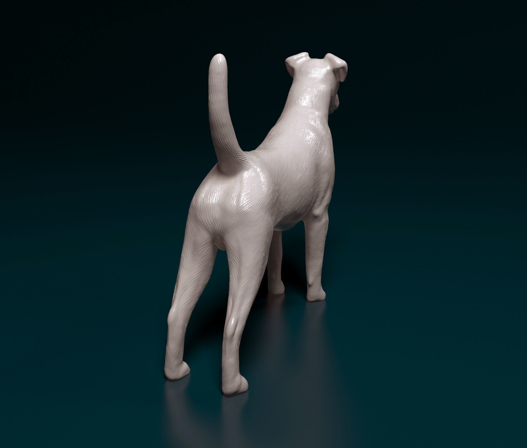 Fox terrier 3D print model_3