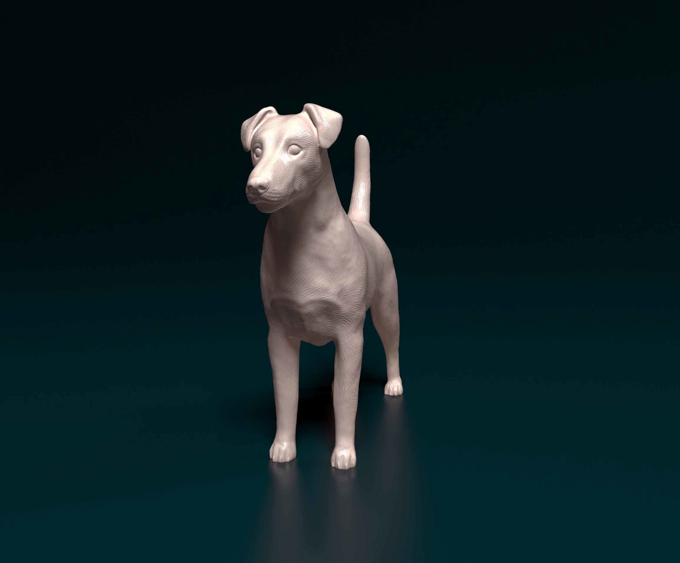 Fox terrier 3D print model_4