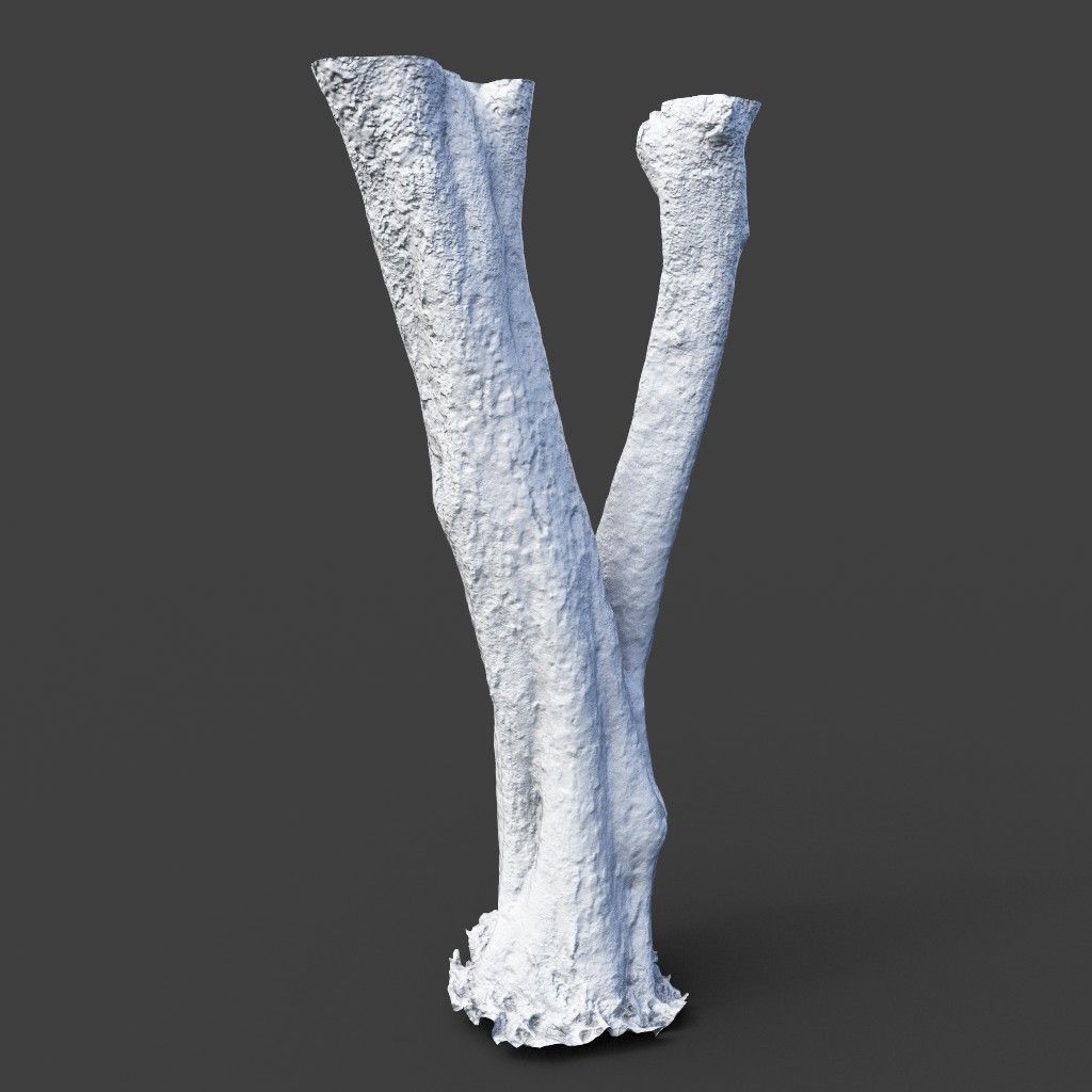 Low poly - High poly Trunk 04 - Photogrammetry Low-poly 3D model_10