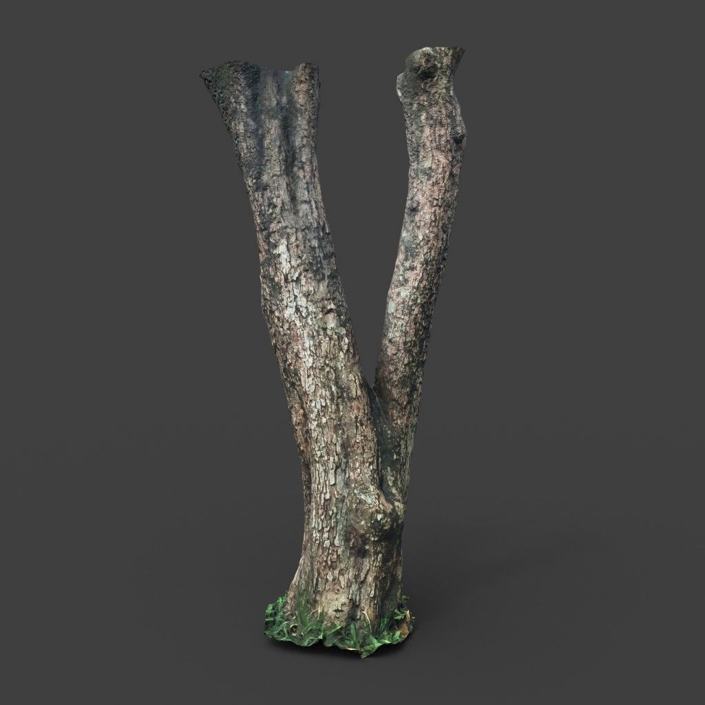Low poly - High poly Trunk 04 - Photogrammetry Low-poly 3D model_2