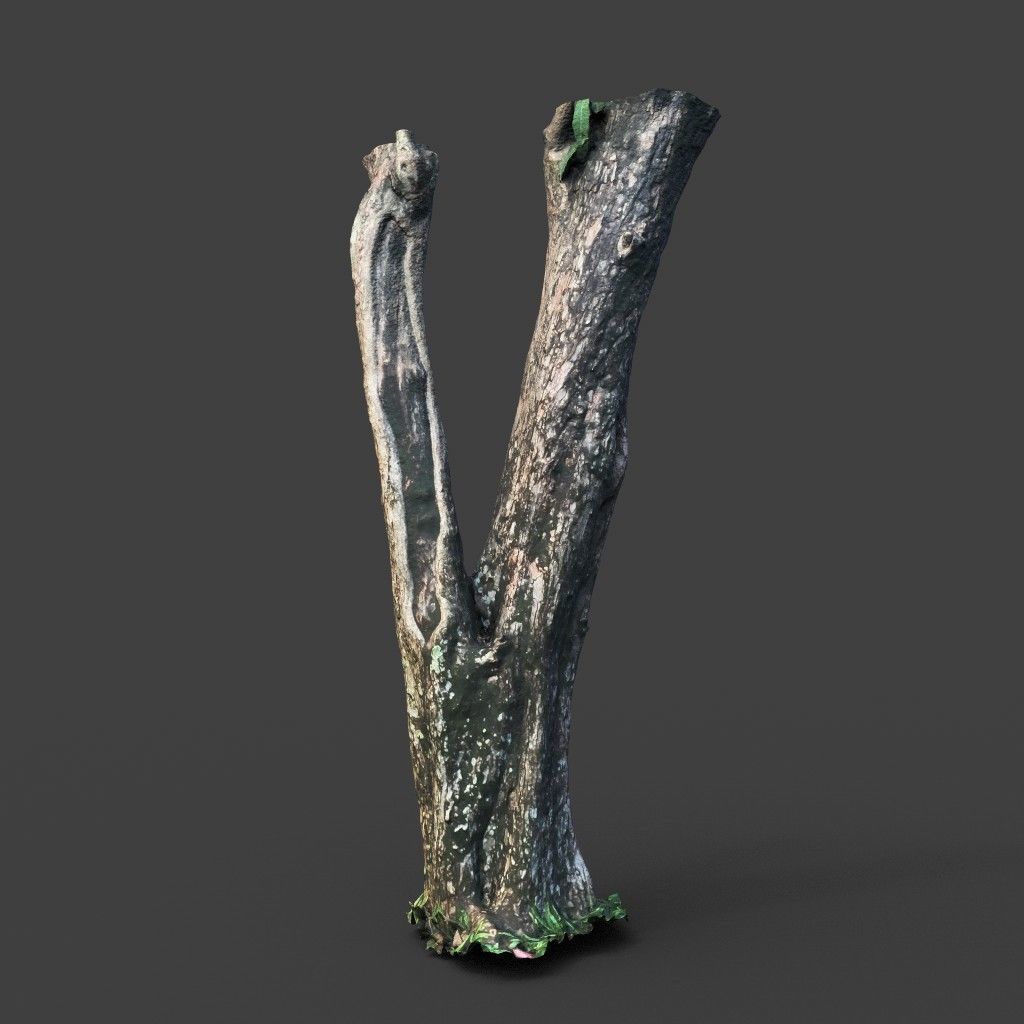 Low poly - High poly Trunk 04 - Photogrammetry Low-poly 3D model_6