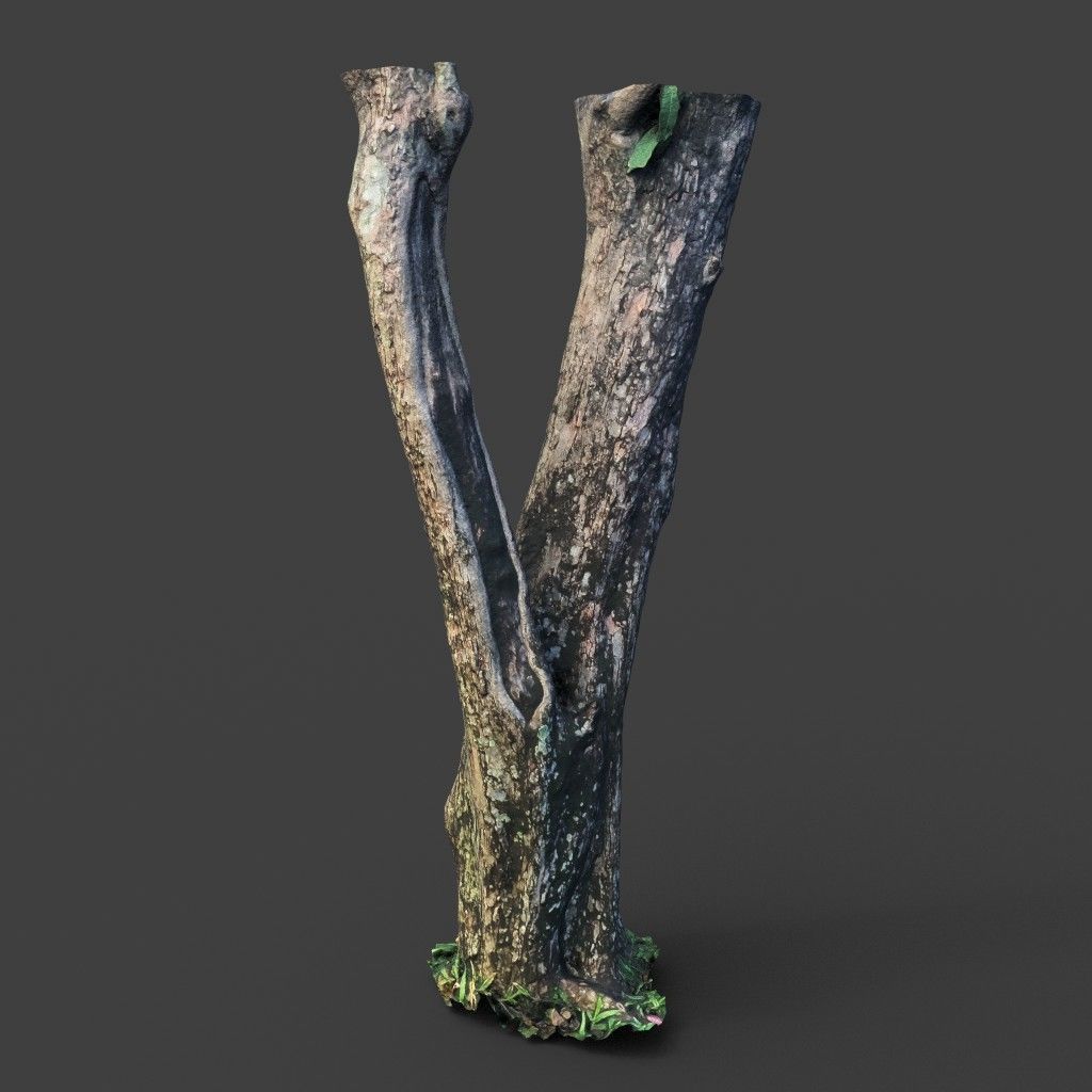 Low poly - High poly Trunk 04 - Photogrammetry Low-poly 3D model_5