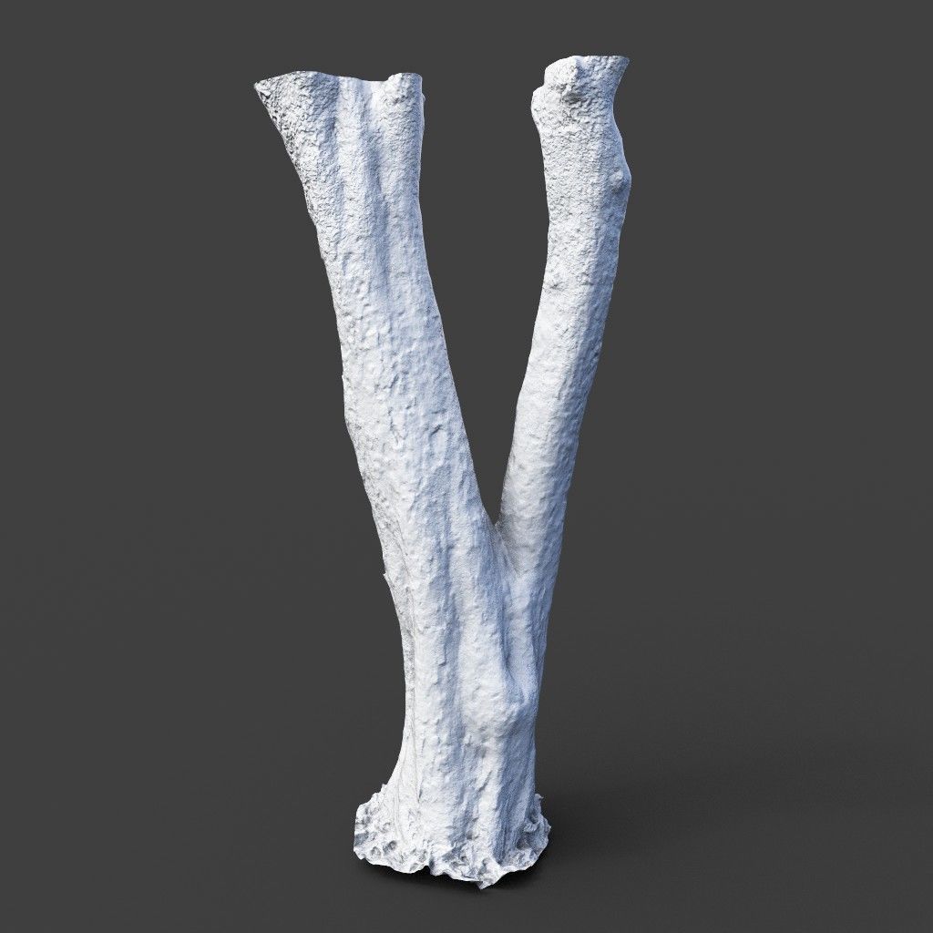 Low poly - High poly Trunk 04 - Photogrammetry Low-poly 3D model_11