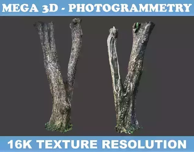 Low poly - High poly Trunk 04 - Photogrammetry Low-poly 3D model Low poly - High poly Trunk 04 - Photogrammetry Low-poly 3D model