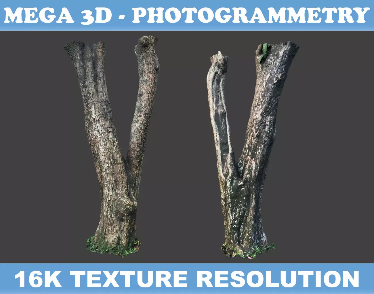 Low poly - High poly Trunk 04 - Photogrammetry Low-poly 3D model_0