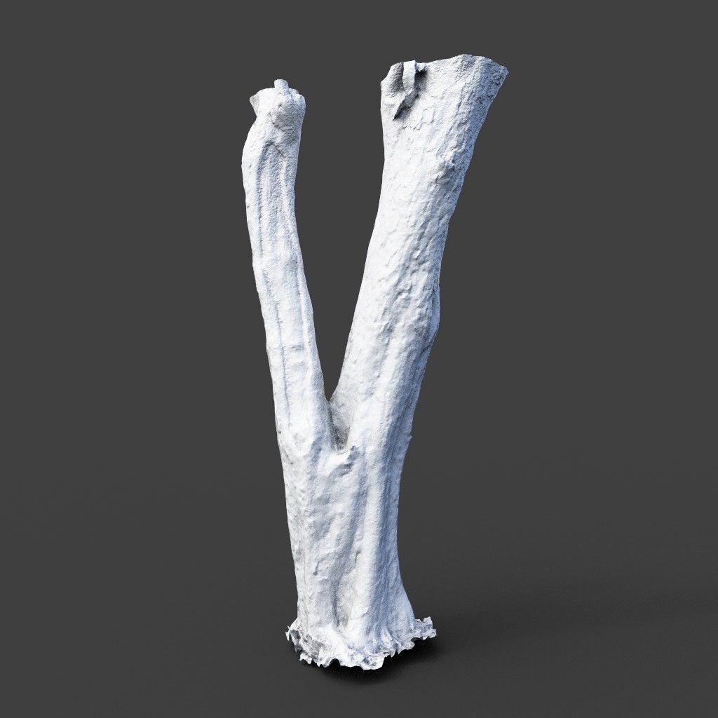 Low poly - High poly Trunk 04 - Photogrammetry Low-poly 3D model_7