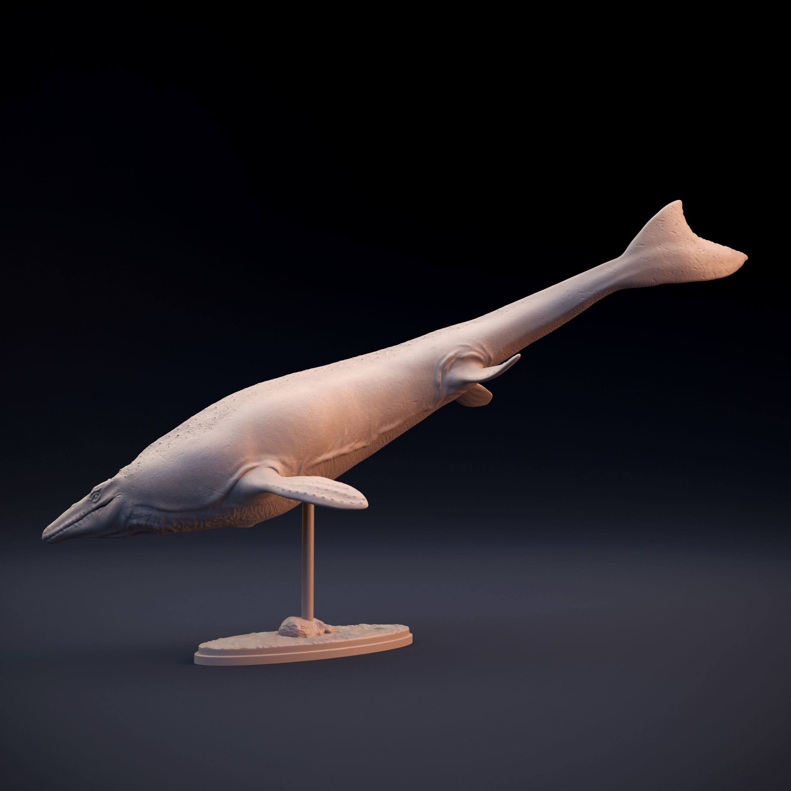 Mosasaurus swimming 3D print model_3