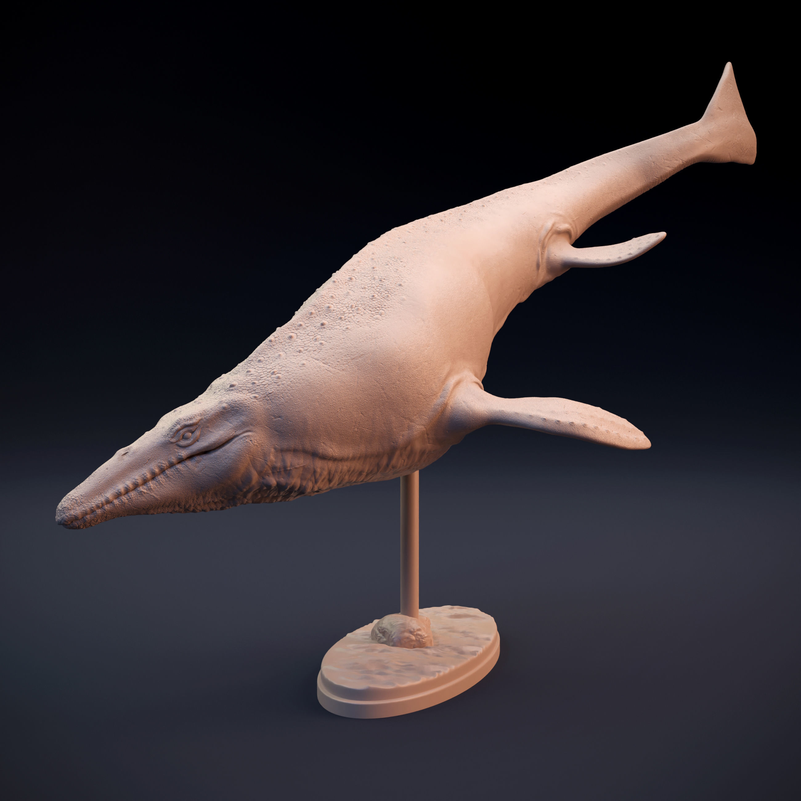 Mosasaurus swimming 3D print model_2
