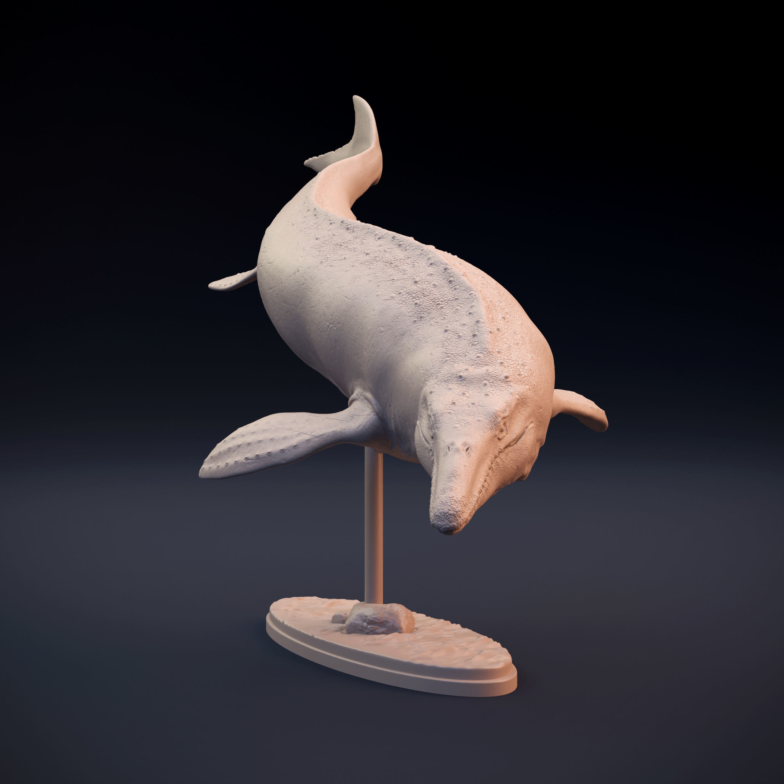 Mosasaurus swimming 3D print model_1