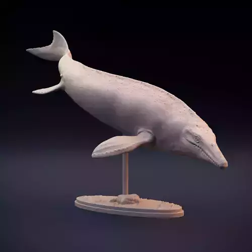 Mosasaurus swimming 3D print model
