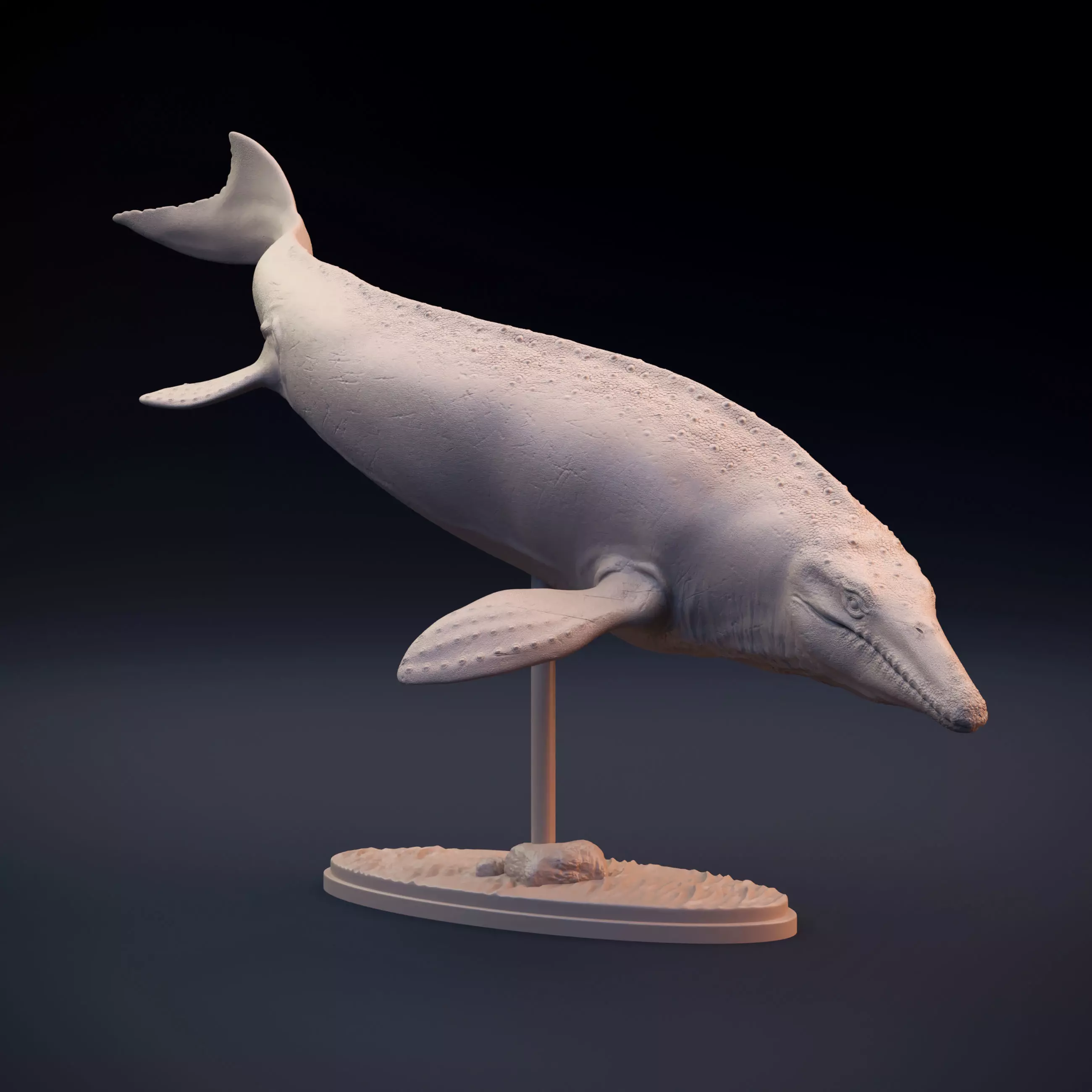 Mosasaurus swimming 3D print model_0