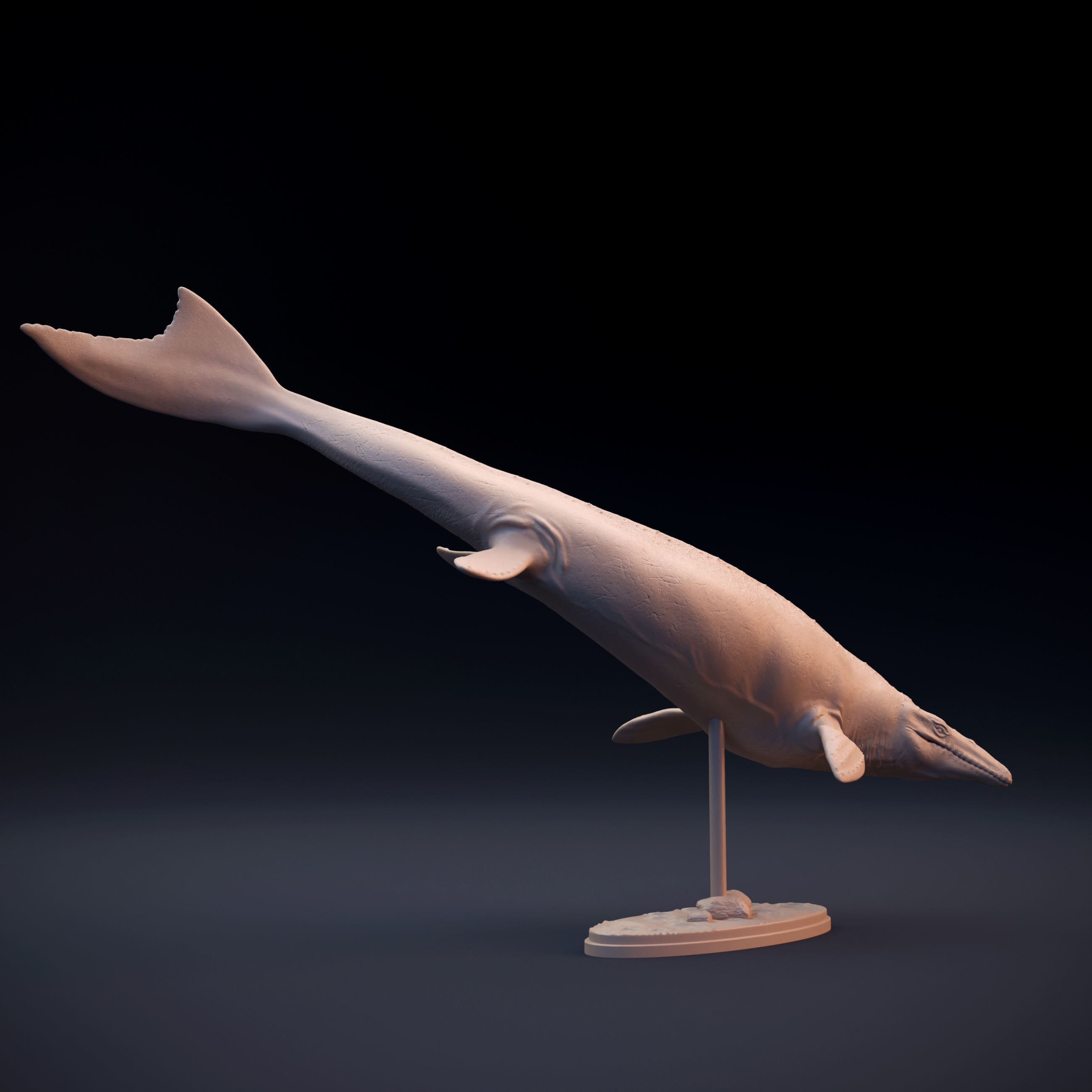 Mosasaurus swimming 3D print model_5
