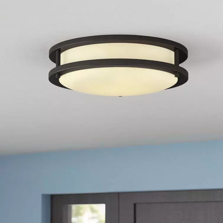 Mona Light Simple Circle Flush Mount - 2 Colour 3D model_0