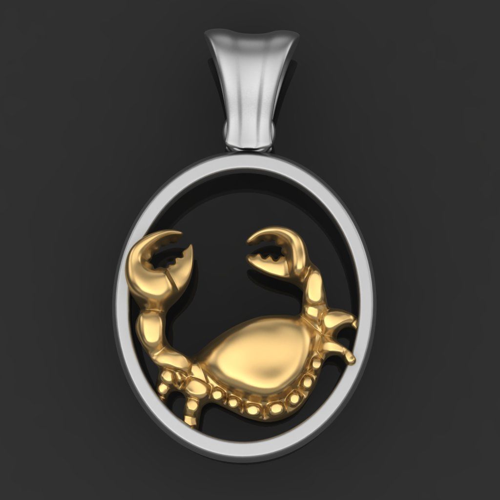 Zodiac Signs Pack Printable 3D print model_12