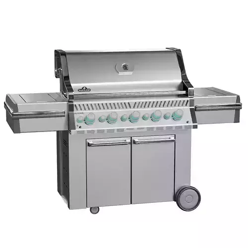 Napoleon Grill 3D model