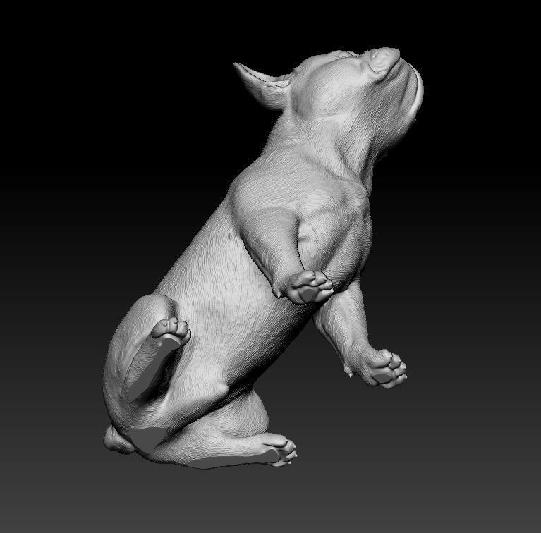 French Bulldog 3D print model_10
