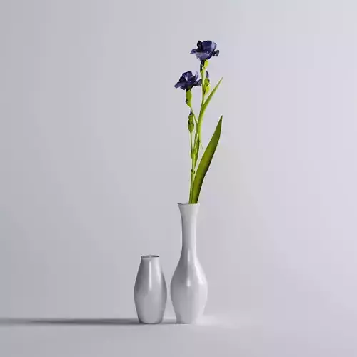 Decorative Vase