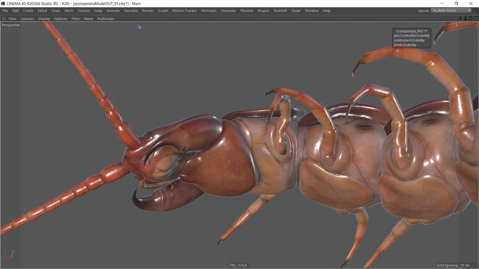 Scolopendra gigantea rigged and animated for Cinema 4d Low-poly 3D model_13