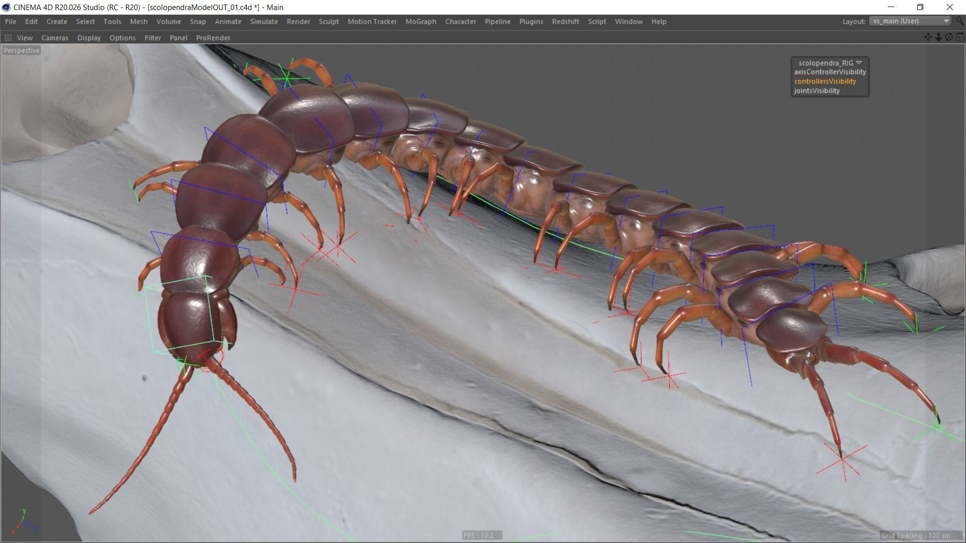 Scolopendra gigantea rigged and animated for Cinema 4d Low-poly 3D model_10