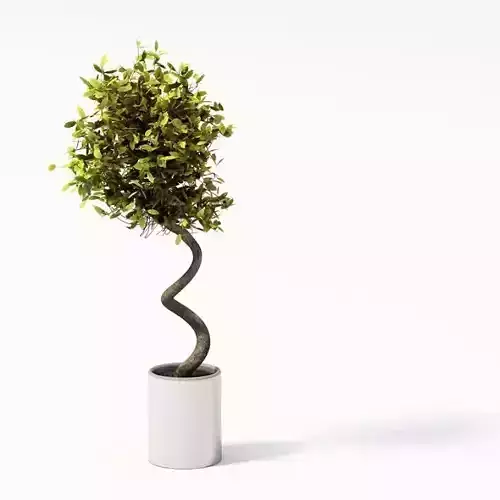 Potted Plant Twisty