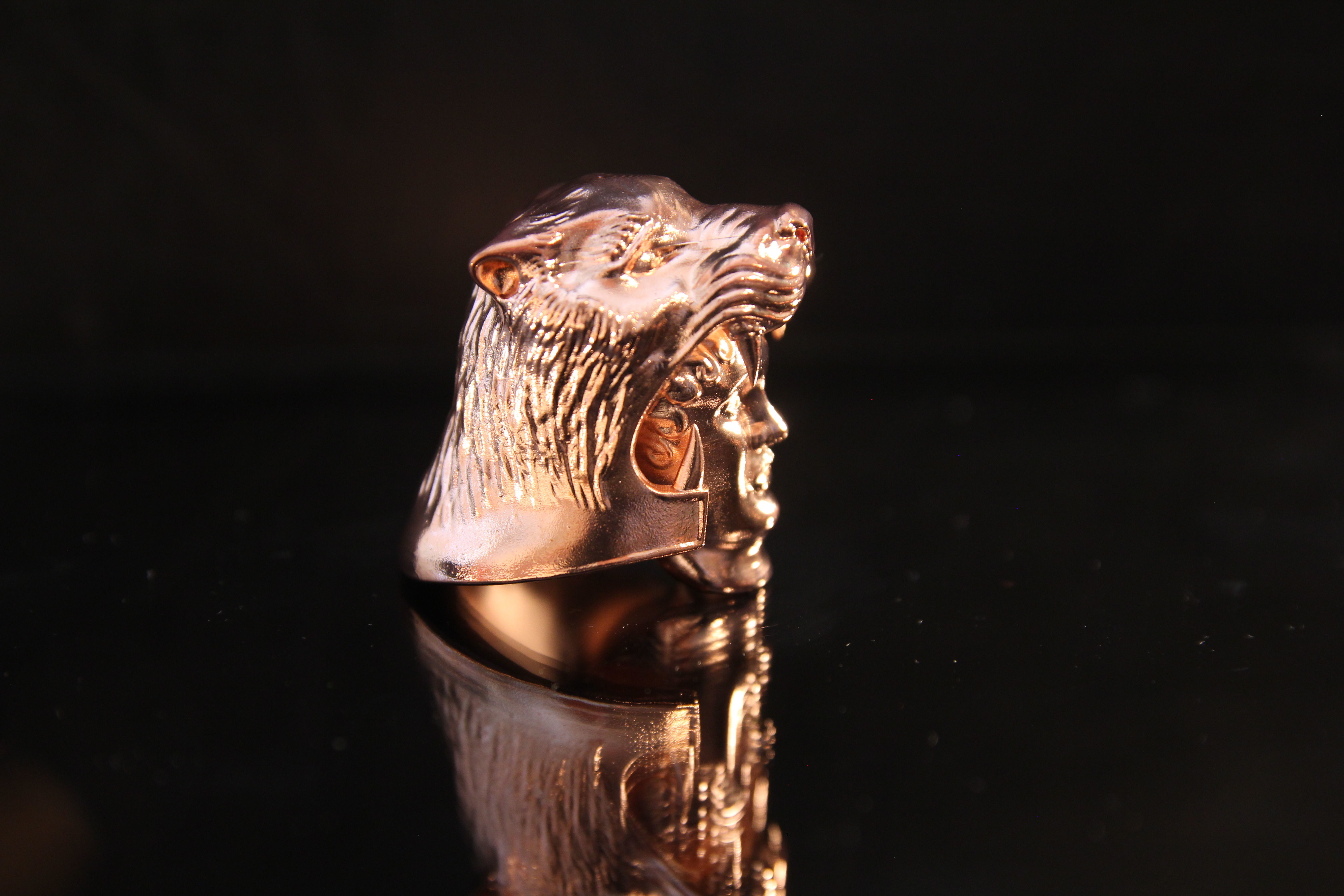 Tigris of Gaul 3D print model_2