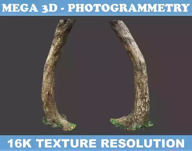 Low poly - High poly Trunk 05 - Photogrammetry Low-poly 3D model Low poly - High poly Trunk 05 - Photogrammetry Low-poly 3D model