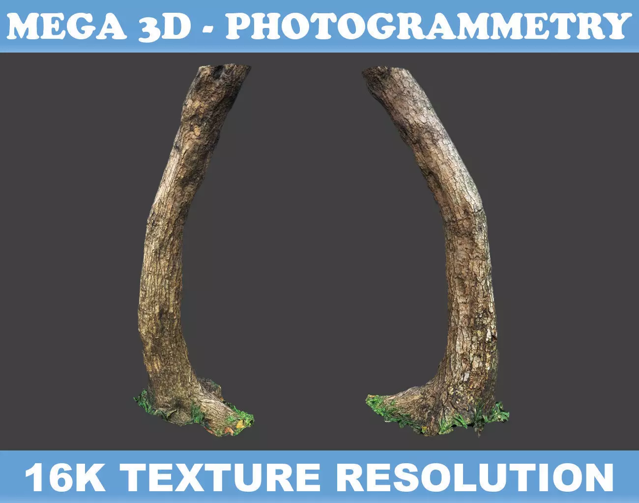 Low poly - High poly Trunk 05 - Photogrammetry Low-poly 3D model_0