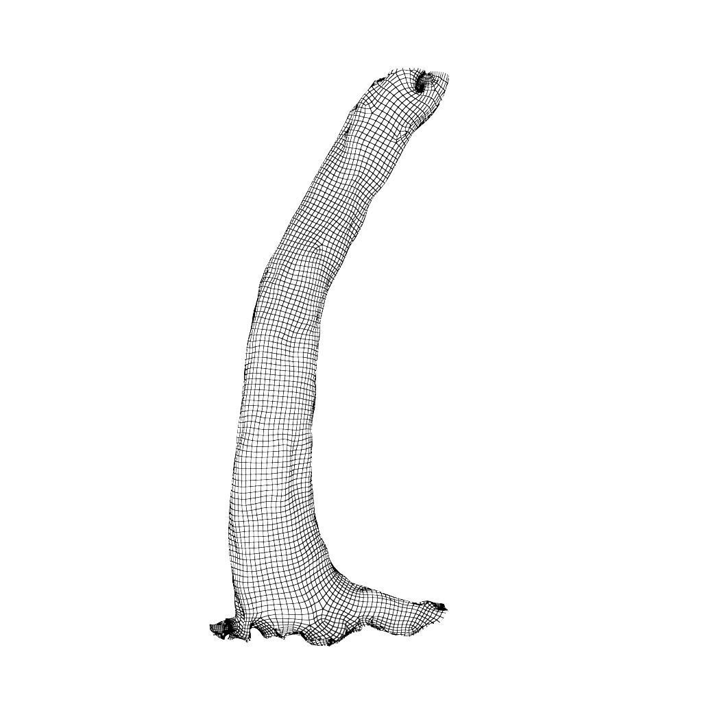 Low poly - High poly Trunk 05 - Photogrammetry Low-poly 3D model_12