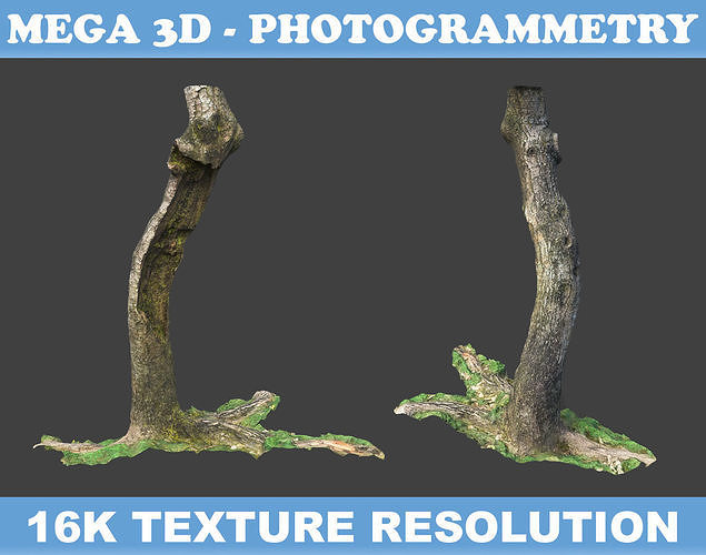Low poly - High poly Trunk 06 - Photogrammetry Low-poly 3D model