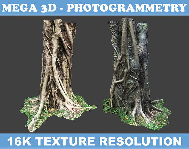 Low poly - High poly Trunk 07 - Photogrammetry Low-poly 3D model