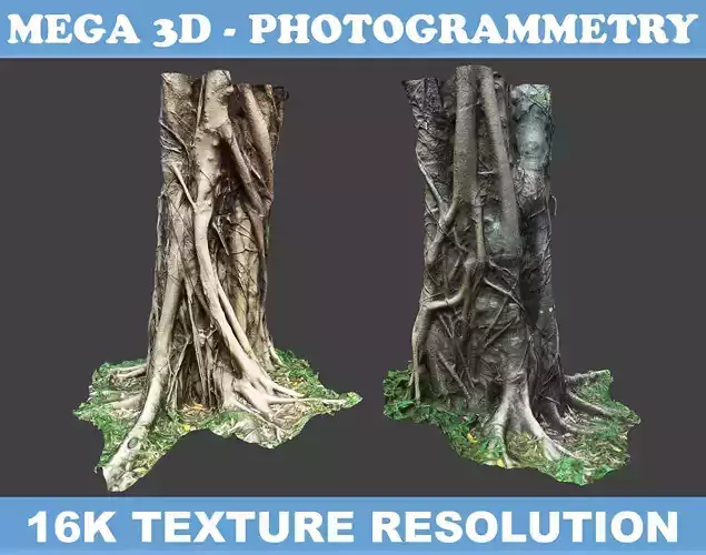 Low poly - High poly Trunk 07 - Photogrammetry
