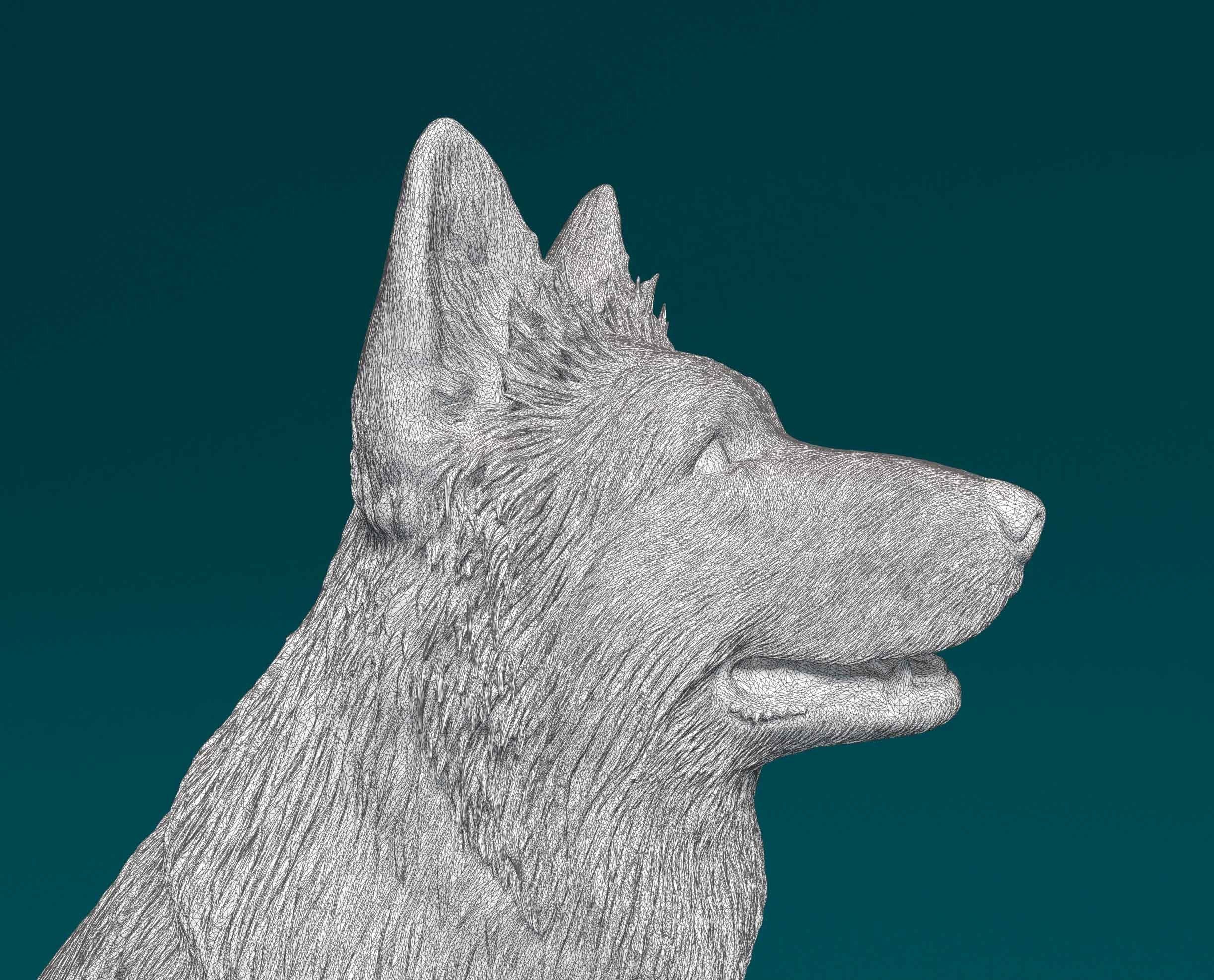 German shepherd long haired 3D print model_8
