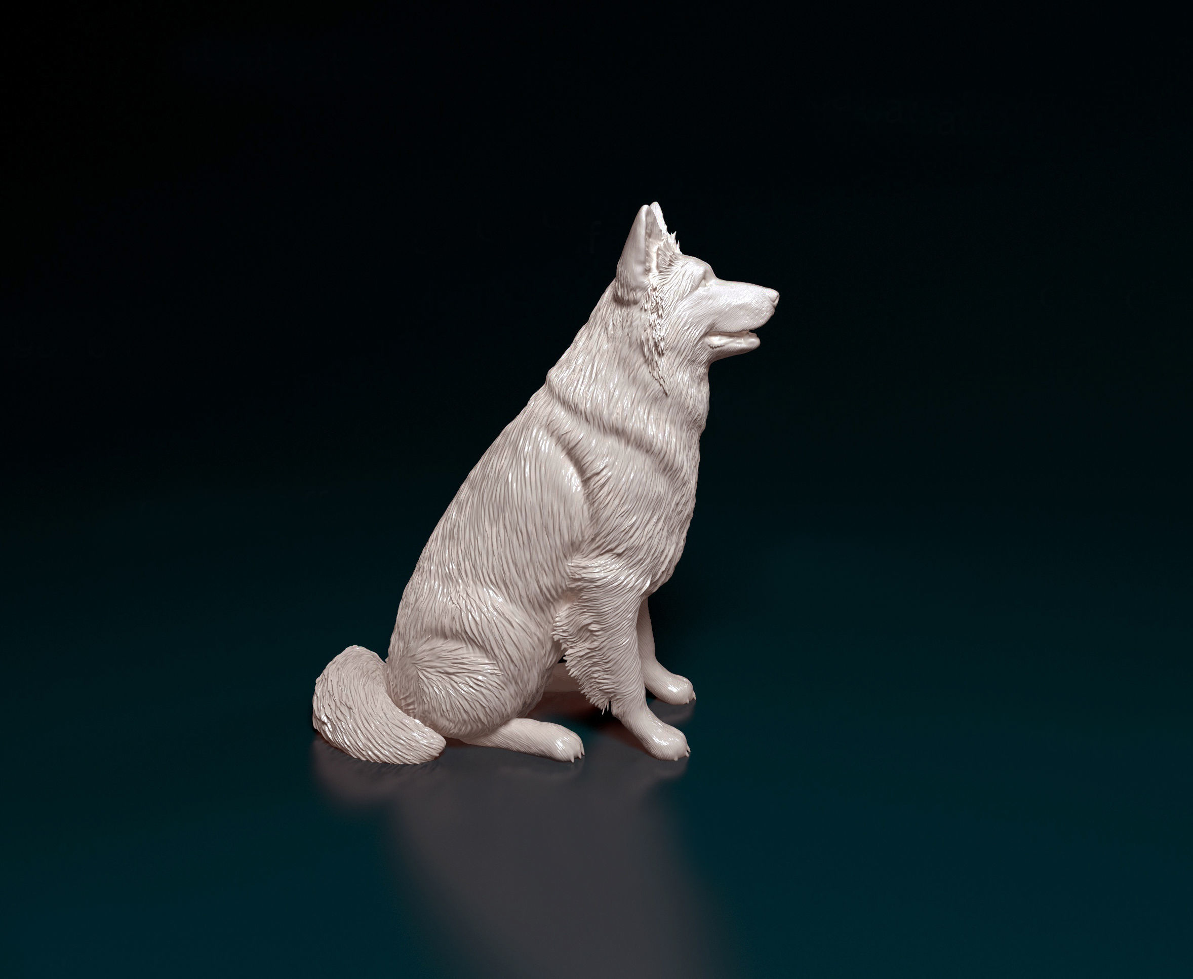 German shepherd long haired 3D print model_5