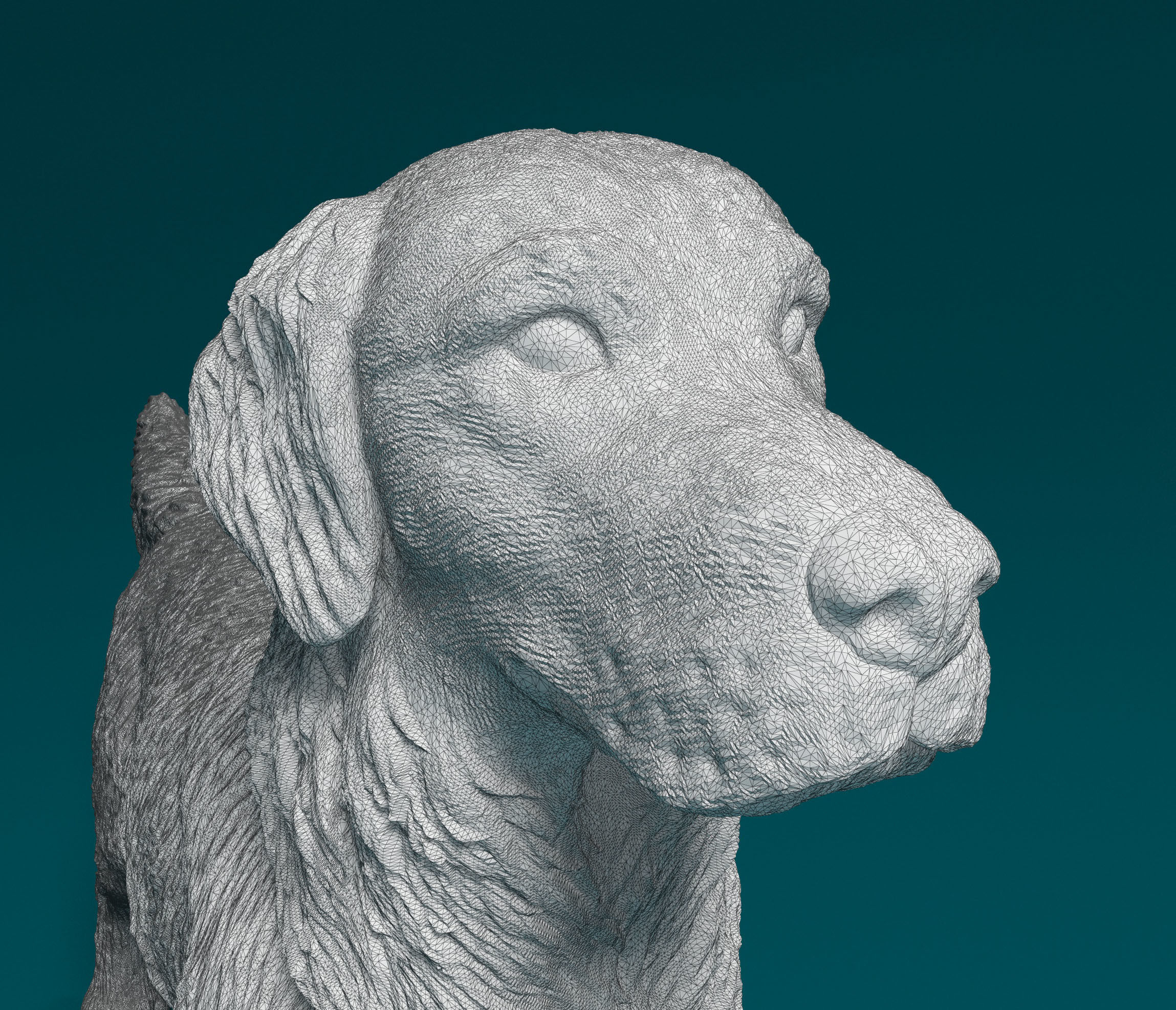 Golden Retriever 3D print model_7