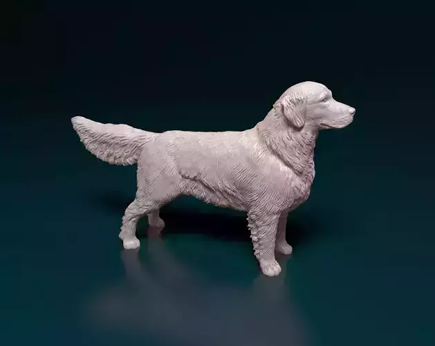 Golden Retriever 3D print model