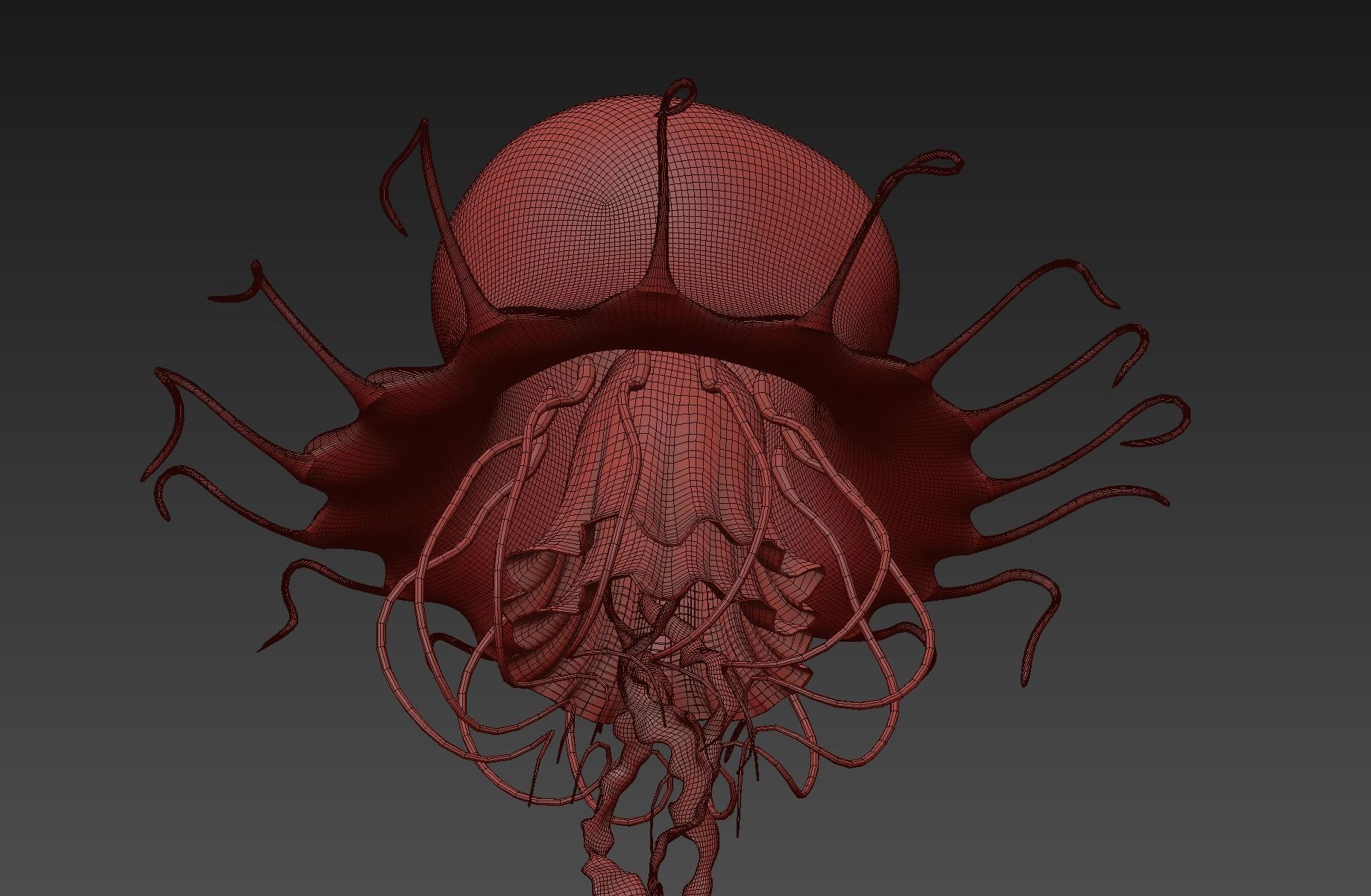 Jellyfish Realistic rigged animated 3D model_9