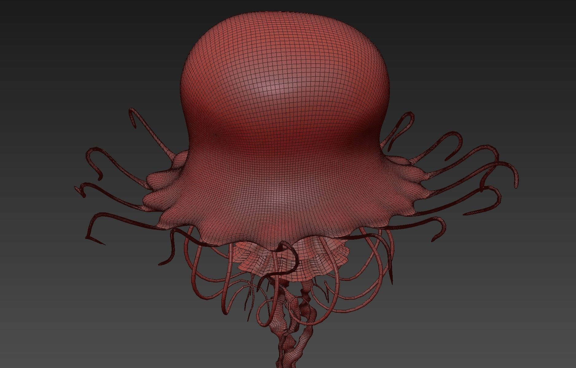 Jellyfish Realistic rigged animated 3D model_8