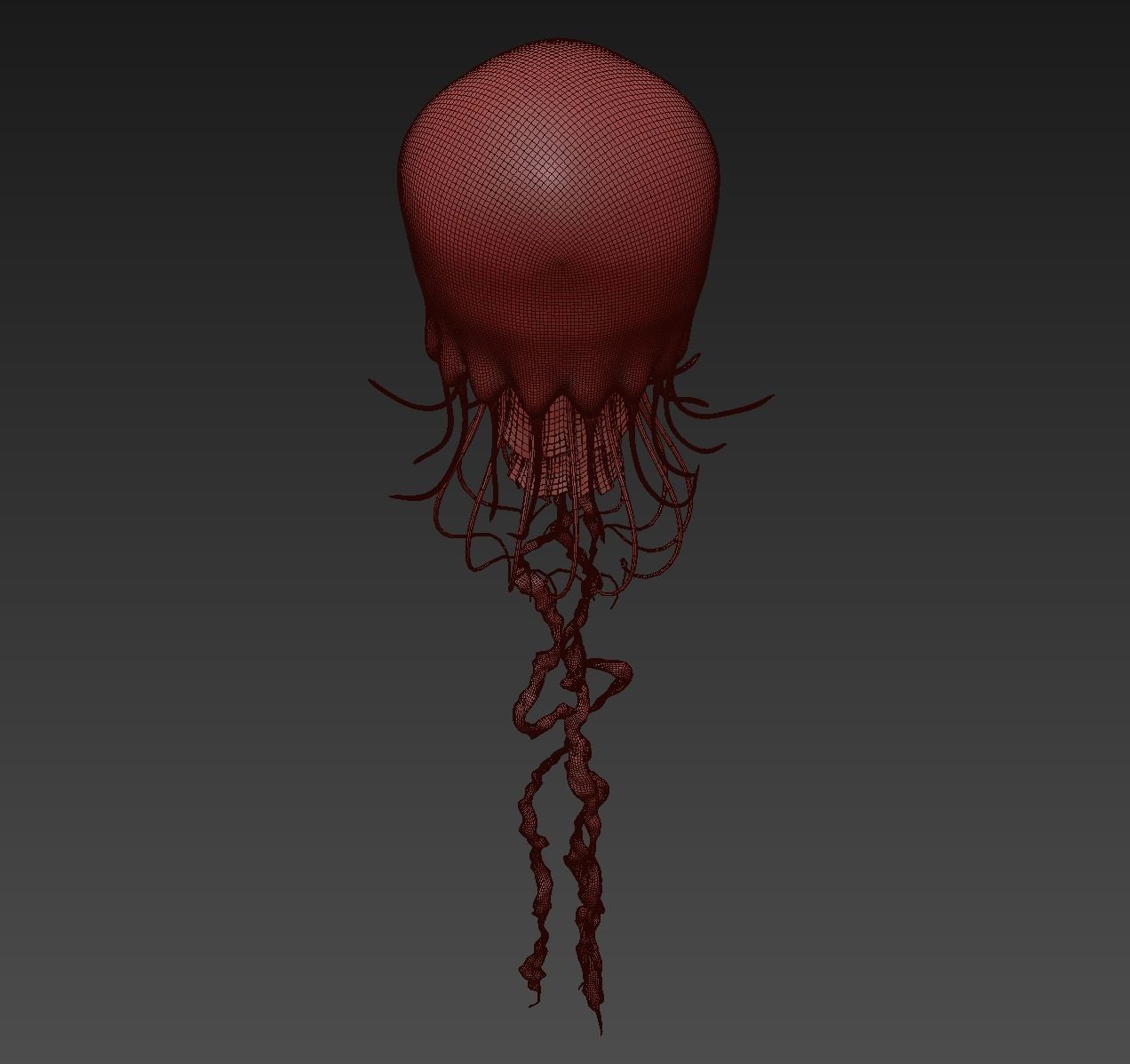 Jellyfish Realistic rigged animated 3D model_10