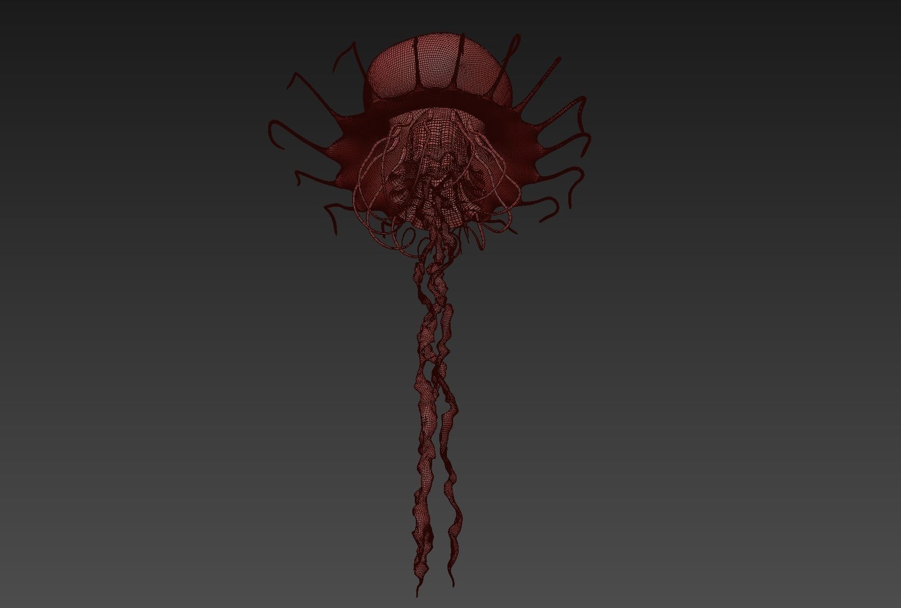Jellyfish Realistic rigged animated 3D model_7