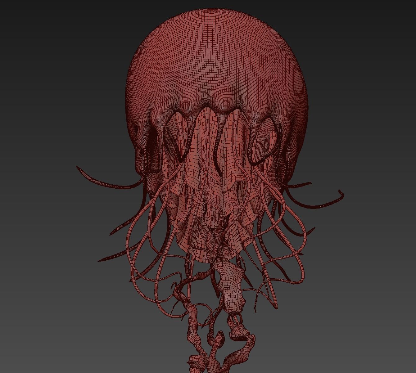 Jellyfish Realistic rigged animated 3D model_11