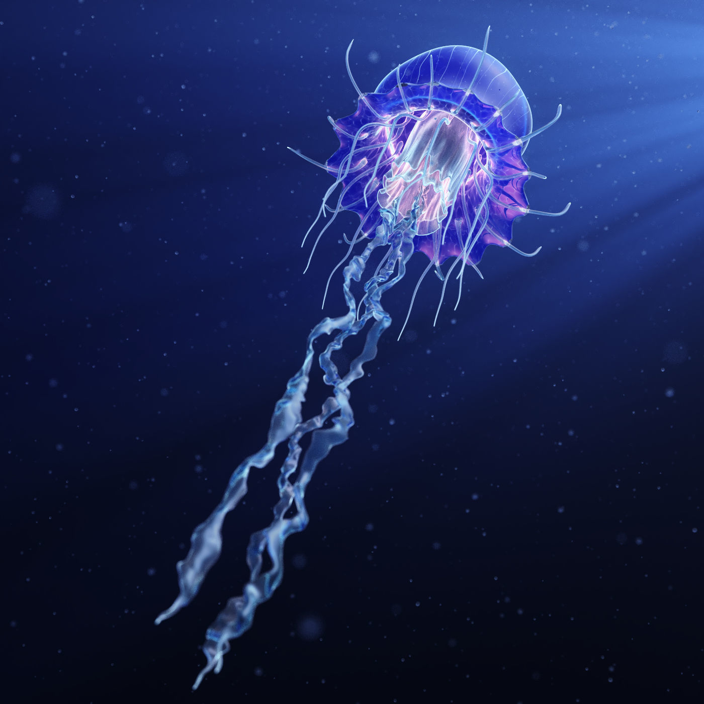 Jellyfish Realistic rigged animated 3D model_3
