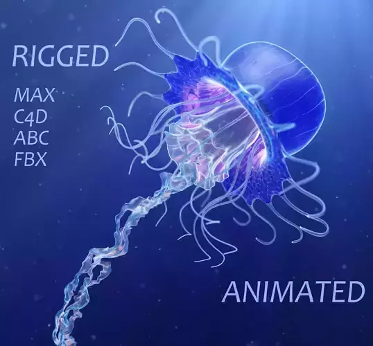 Jellyfish Realistic rigged animated 3D model