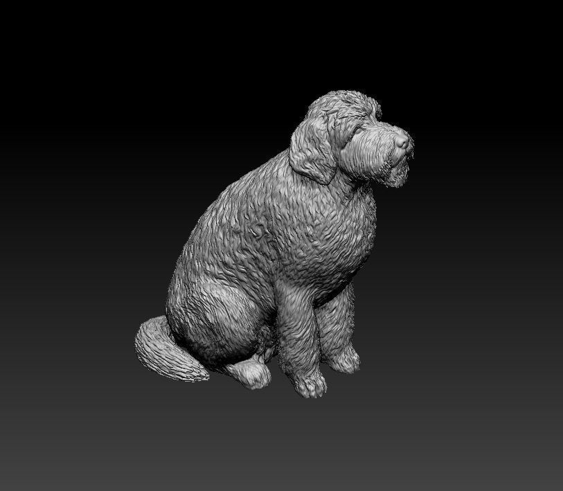GoldenDoodle figurine of dog 3D print model_6