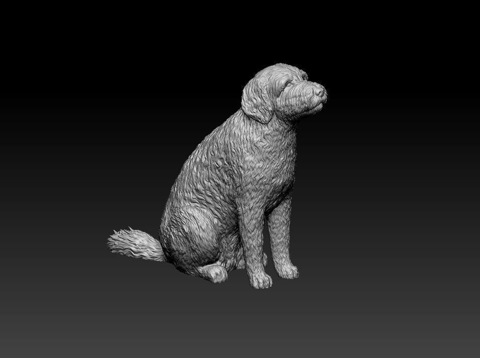 GoldenDoodle figurine of dog 3D print model_7