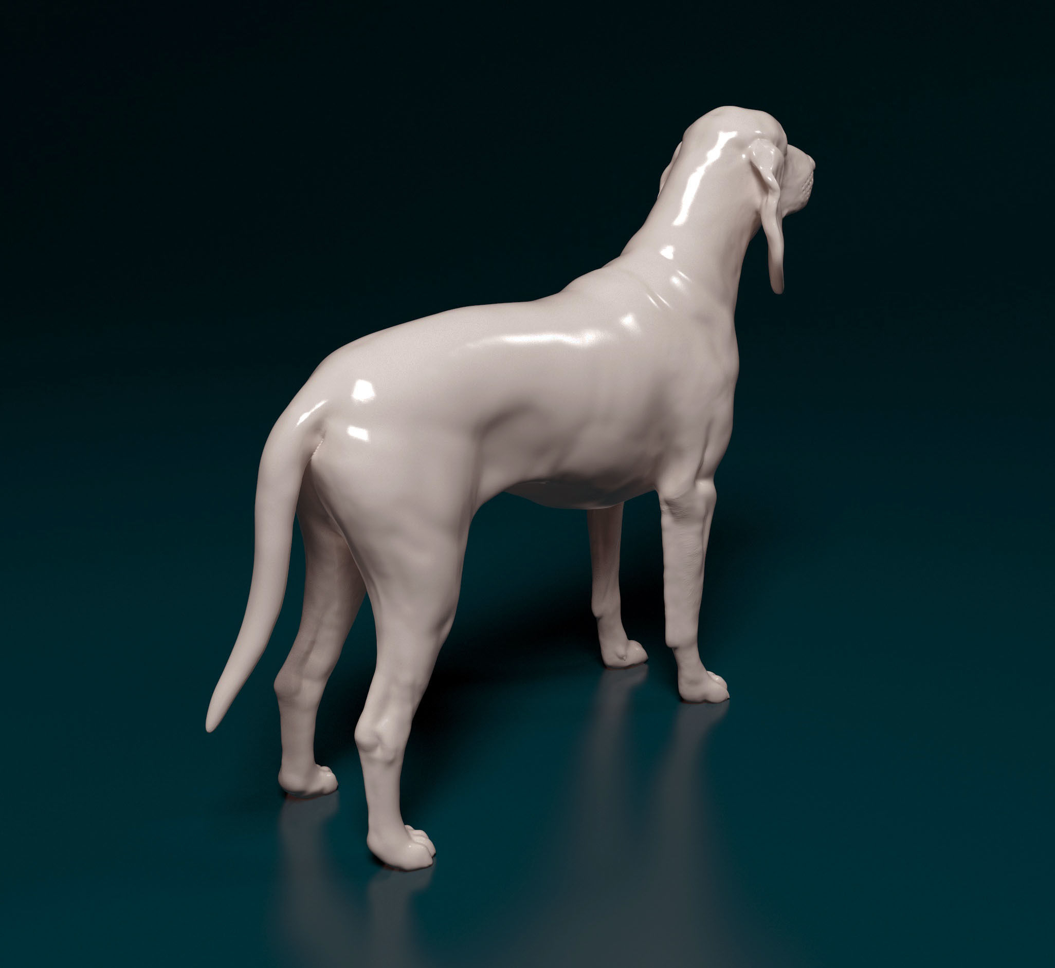 Grand Gascon Saintogeois 3D print model_3