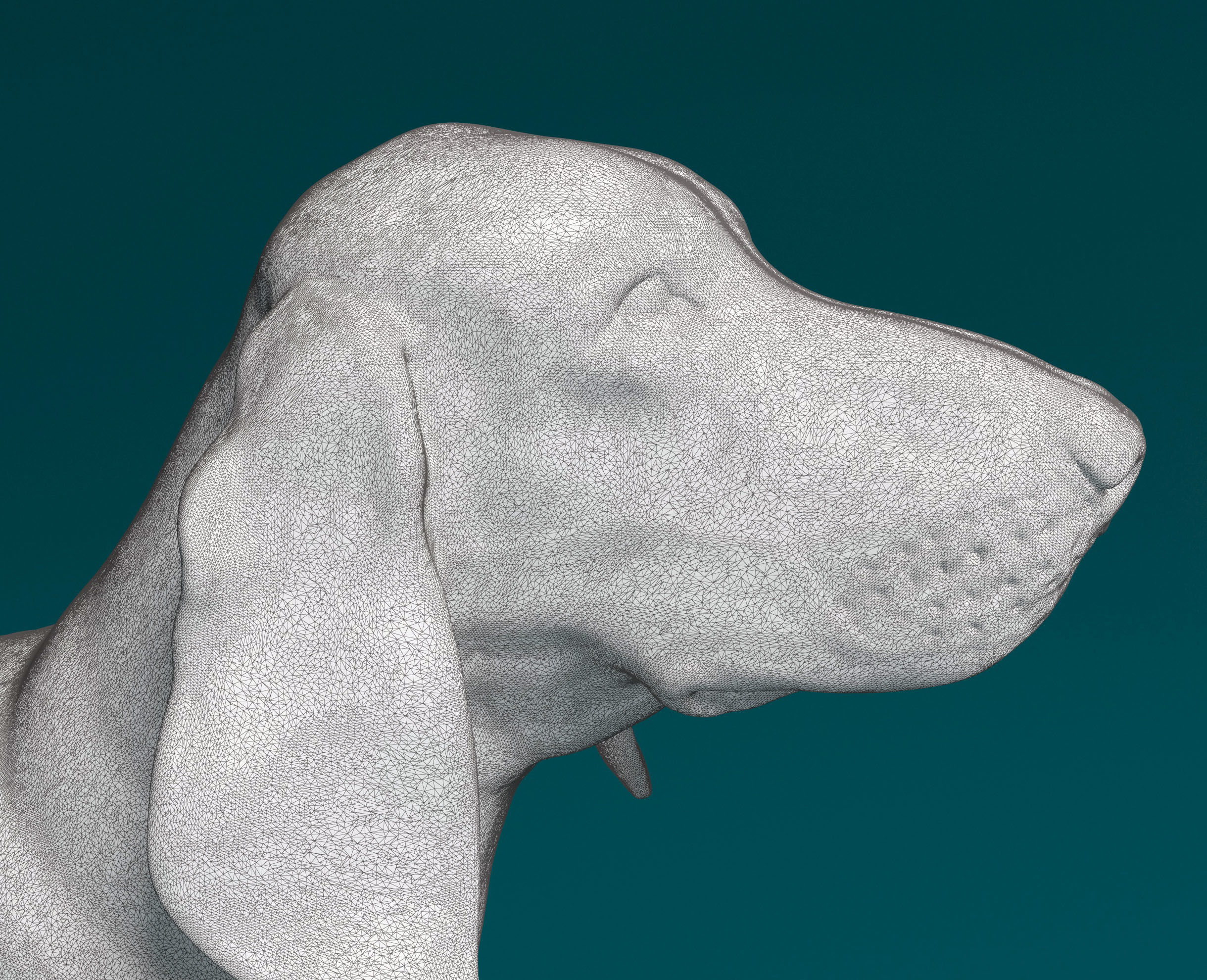 Grand Gascon Saintogeois 3D print model_9