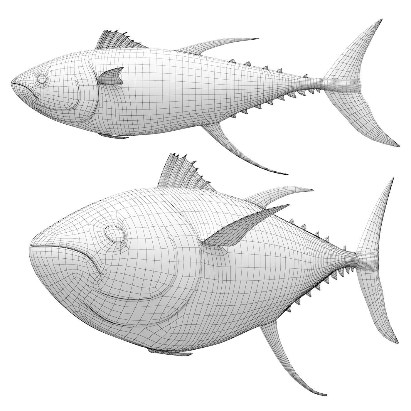 Tuna fish 3D model_6