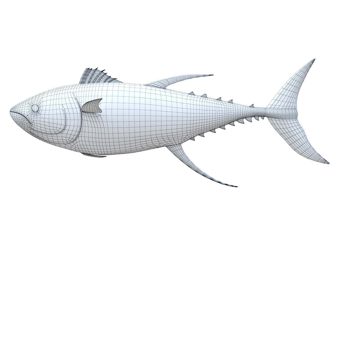Tuna fish 3D model_7